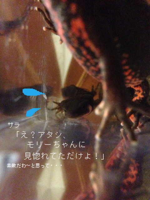 BlogPaint