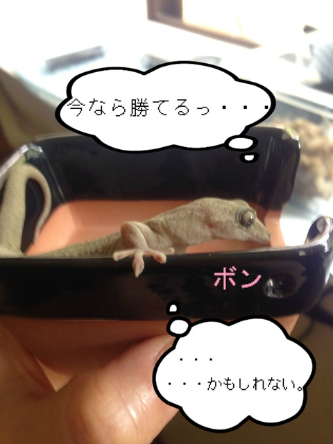 BlogPaint