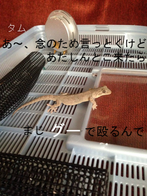 BlogPaint