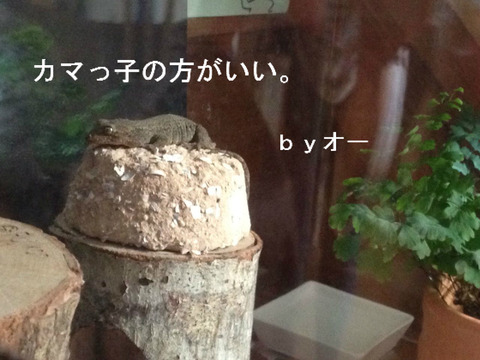 BlogPaint