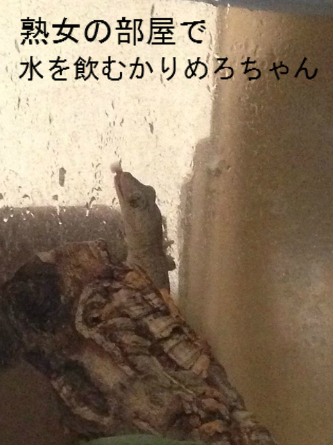 BlogPaint