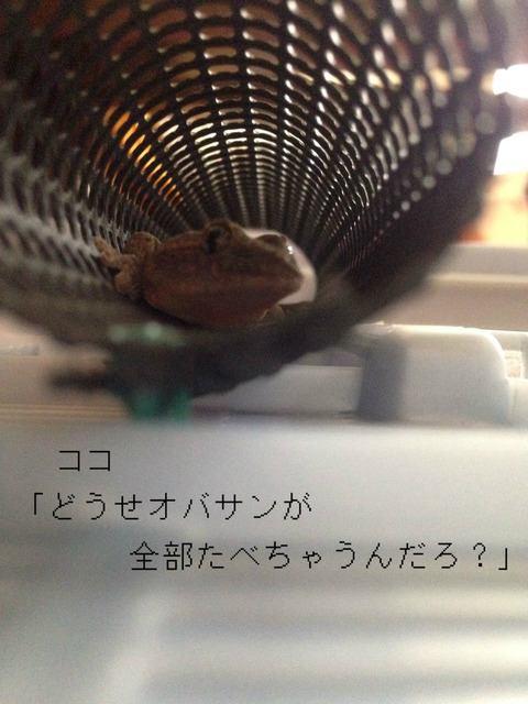 BlogPaint