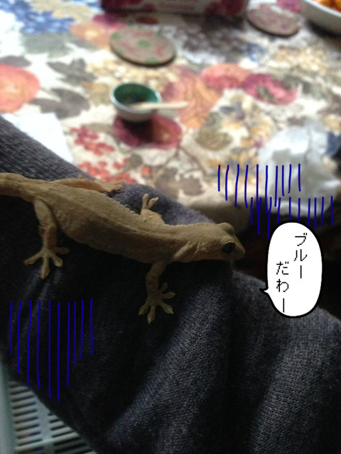 BlogPaint