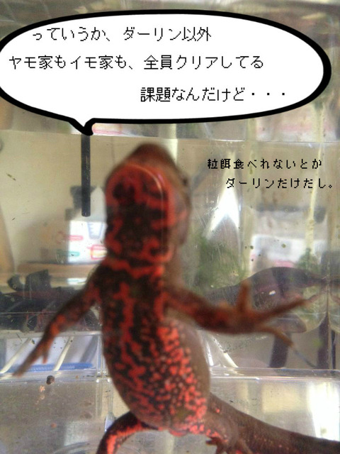 BlogPaint
