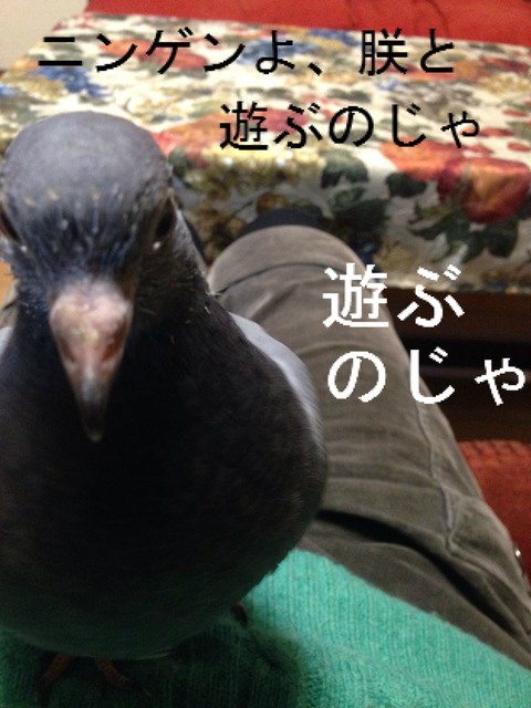 BlogPaint