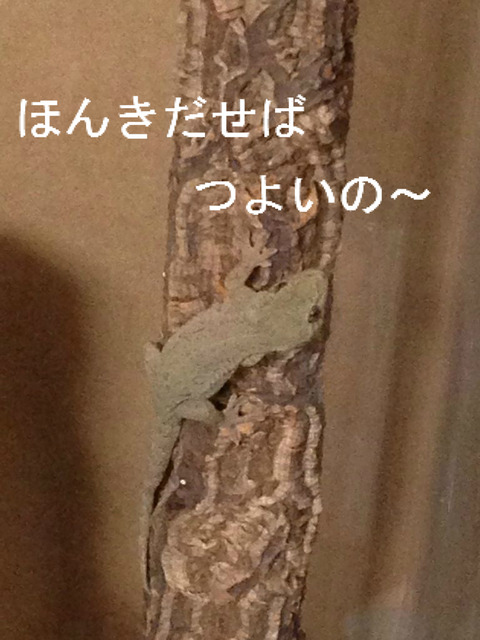BlogPaint