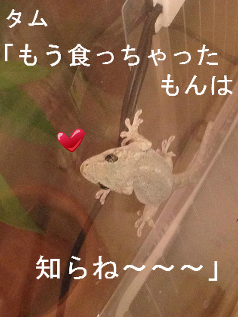 BlogPaint