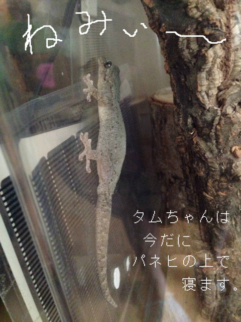 BlogPaint