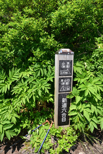 HAN_6193-2