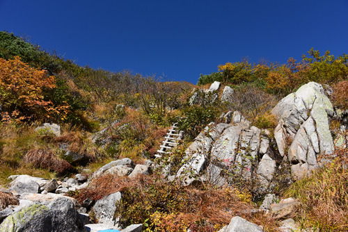 HAN_1624-2