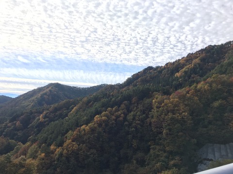 2018.11.012②