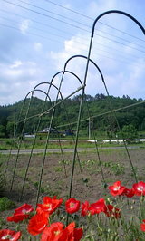 be6da637.JPG