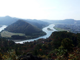 kouyou