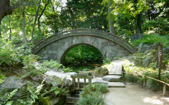 小石川後楽園