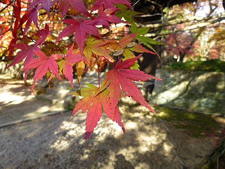 東漸寺