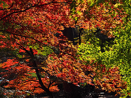 芝公園