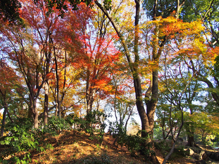 芝公園