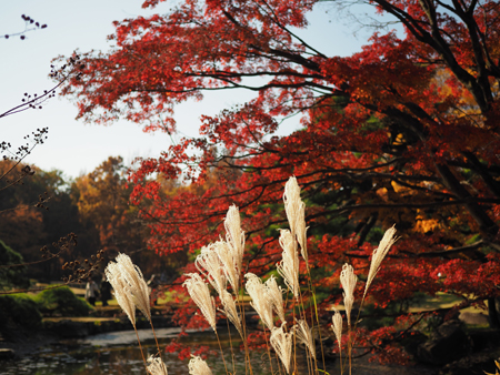 二の丸庭園