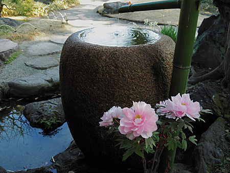 水鉢