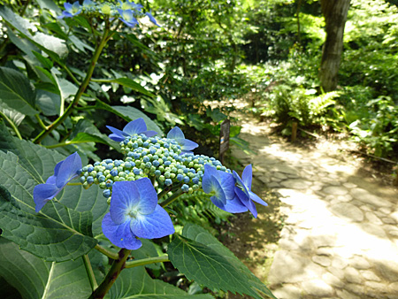 六義園