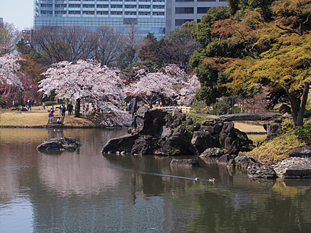 小石川後楽園