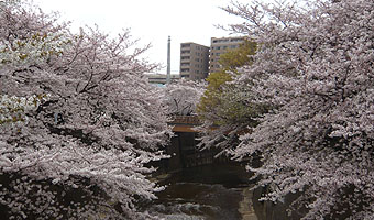 板橋
