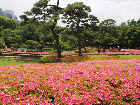 二の丸庭園