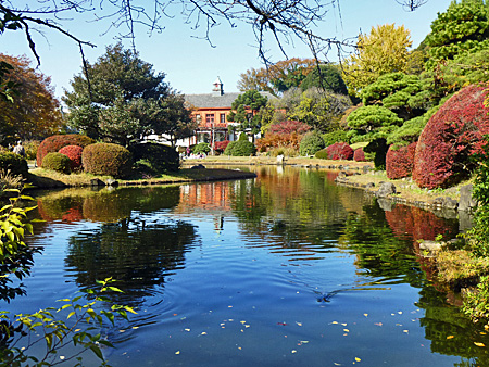小石川植物園