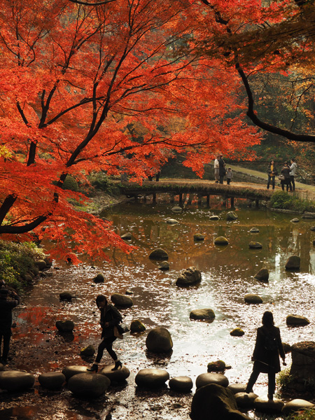 渡月橋