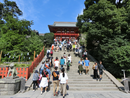 鶴岡八幡宮