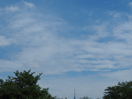 空
