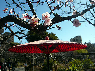 向島百花園