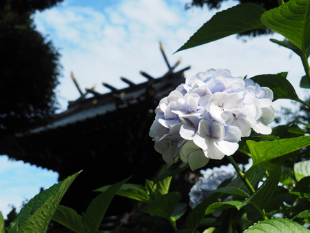 白山神社