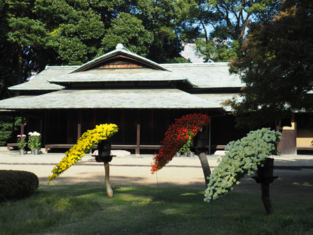 諏訪のお茶屋