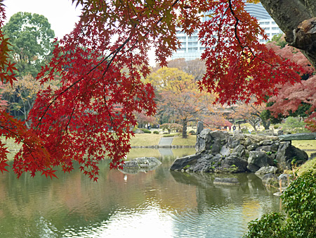 小石川後楽園