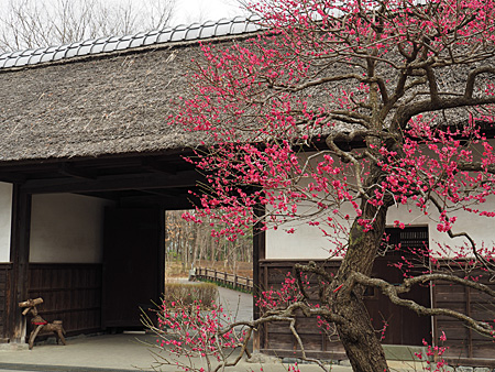長屋門