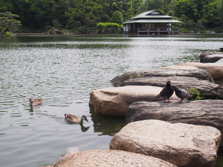 清澄庭園