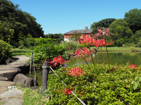 日本庭園