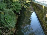 坂川