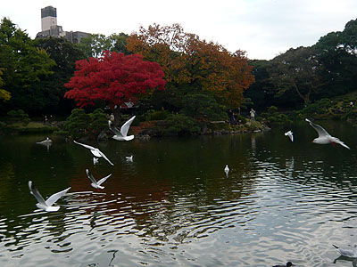 清澄庭園
