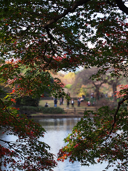 下の池