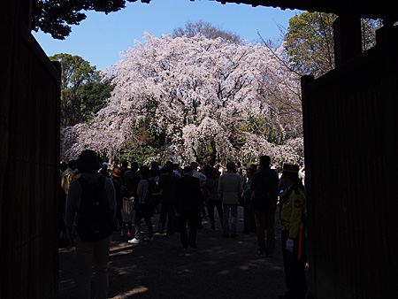 六義園