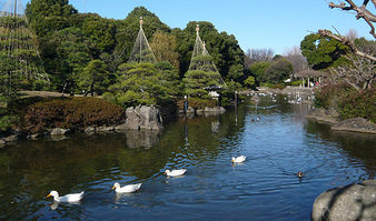 隅田公園