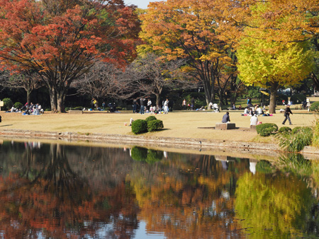 北の丸公園