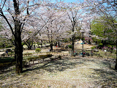隅田公園