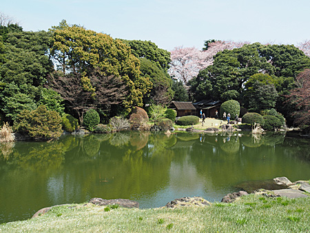池