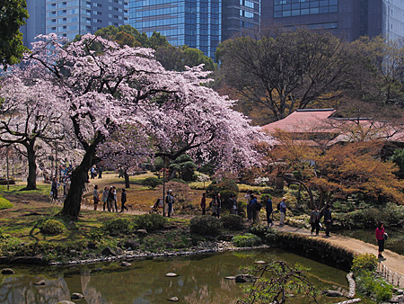 小石川後楽園