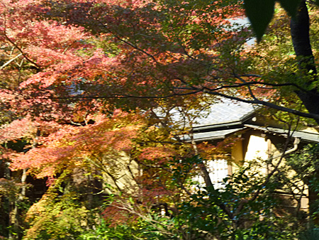 古河庭園