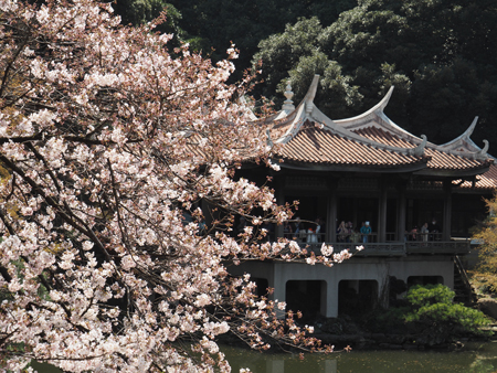台湾閣