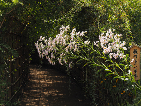 向島百花園